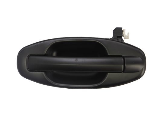 Blic 6010-20-021403P TüRgriff Lackierbar Hinten Links FüR Hyundai Santa FÉ OE-image