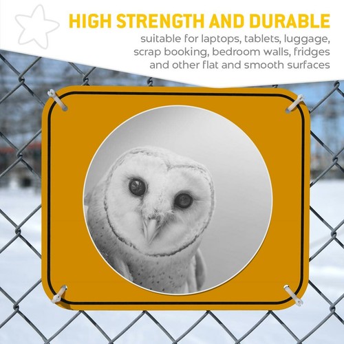 2 x Vinyl Stickers 25cm (bw) - Wise Barn Owl Tyto Albahead #36734 - Bild 6 von 8