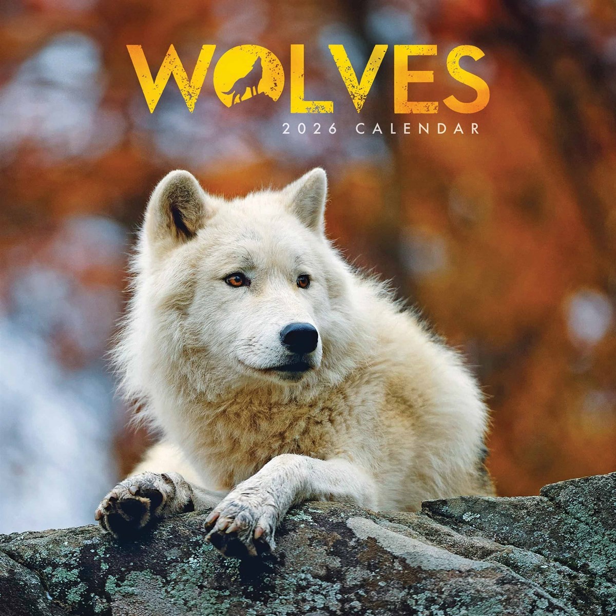 Wolves Mini Calendar 2026, Wall Calendars, Month To View, Animals, Gift