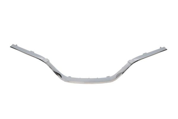 BLIC 6502-07-6047994P Trim/Protection Strip, radiator grille for RENAULT