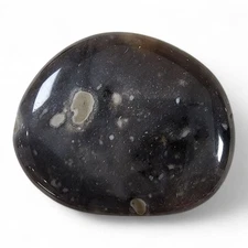 Flint Polished Smooth Stone 16.2 grams