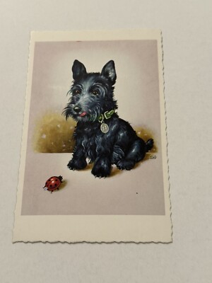 Vintage Greeting Post Card  Scottie Dog Terrier Ladybug Friend G7