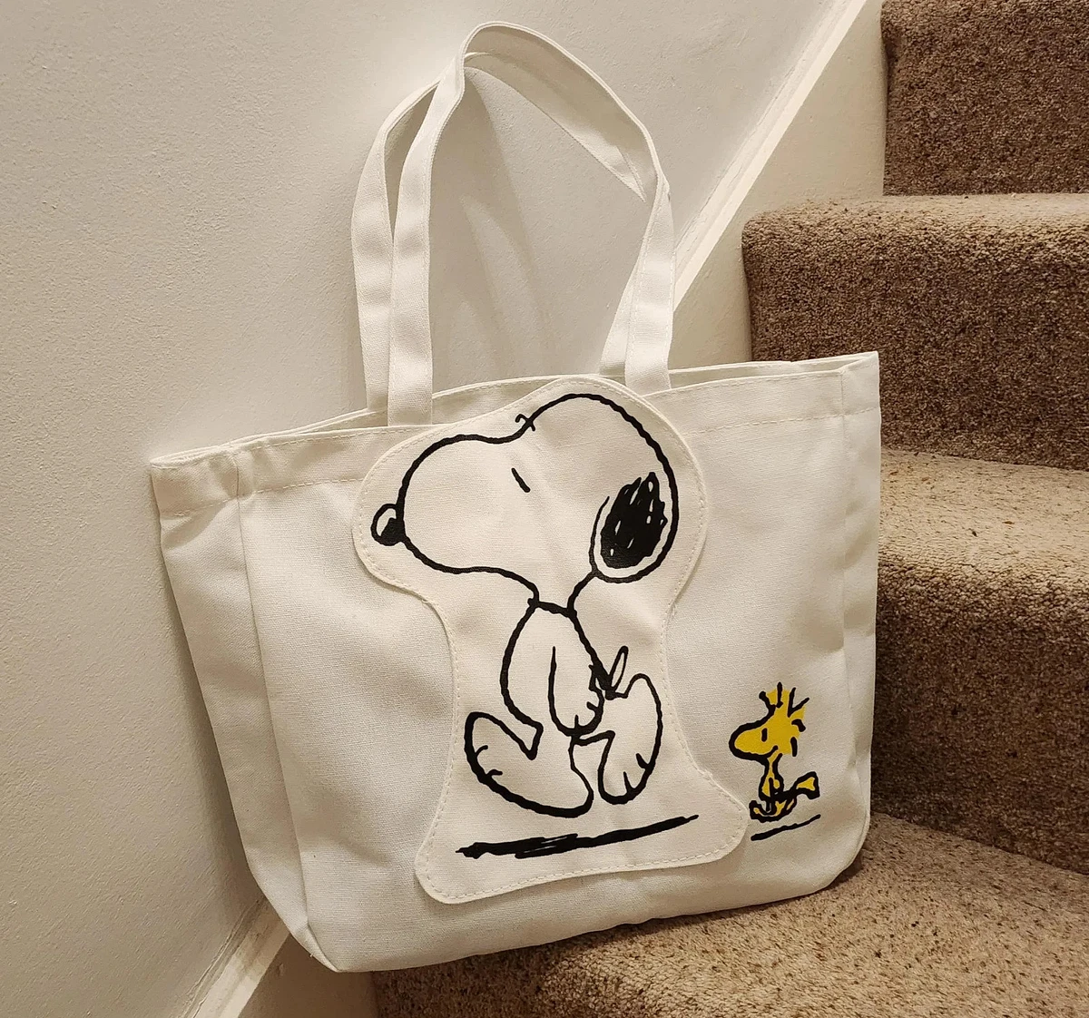 Bolsa Térmica Para El Almuerzo Con Diseño De Snoopy Y Charlie Brown Con Dibujos Animados De Snoopy Y Charlie Brown Para Picnic
