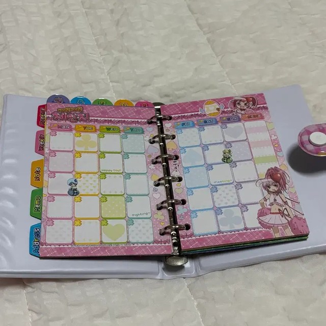 Carky Carky Change Diary (No Pearl) - Used