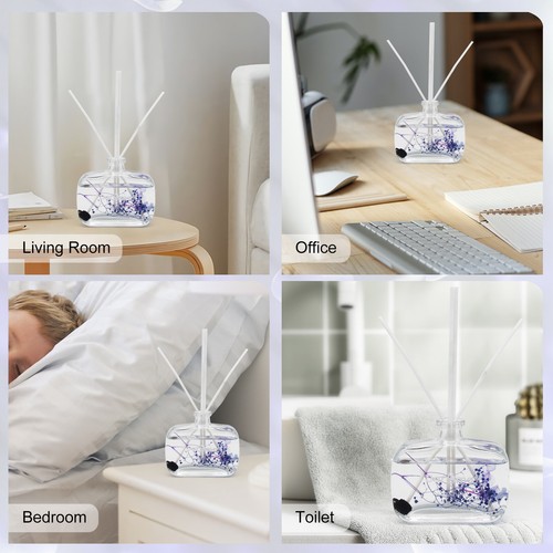Reed Diffuser Set with Sticks, Daroma Dry Flower Aromatherapy for Home & Office. - 第 37/50 張圖片
