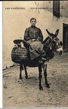 (S-33537) FRANCE - 64 - NON SITUEE CPA ANE MONTE DE LA LAITIERE     VILLATTE A.