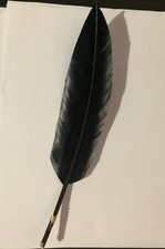 PENNA ALPINO ECONOMICA 