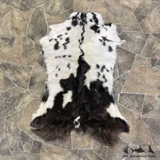 #25319 E+ | Goat Hide Taxidermy Skin