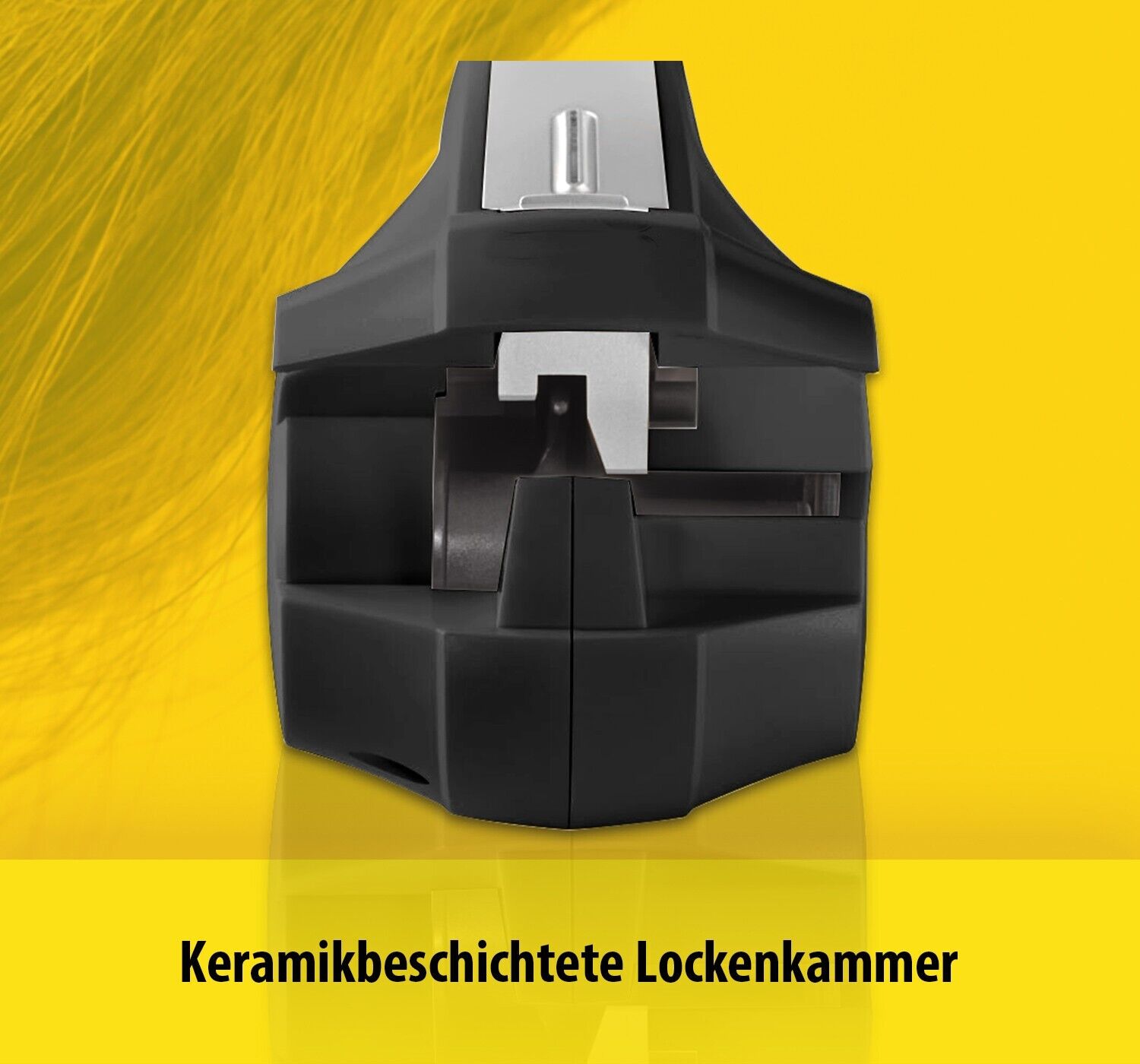 Bild 3 von 7