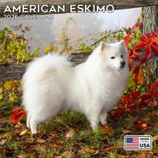 American Eskimo Calendar 2026 - Dog Breed Wall Calendar - Made in the USA!