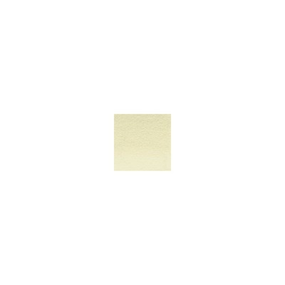 DERWENT - DRAWING - crayon de couleur Paille - 5715
