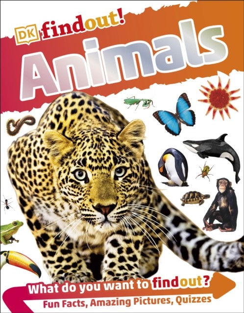 DKfindout! Animals by DK (Paperback Book)
