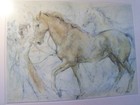 Bild 1 von 14