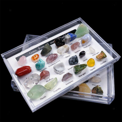 24X Rock Quartz Mineral Collection Display Case Science Teaching Geography Stone