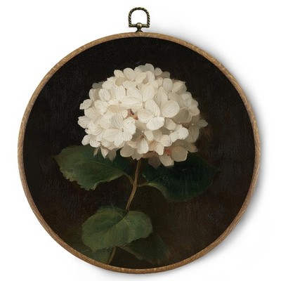 Vintage Hydrangea Floral Round Wall Art Decor, Cottagecore Moody White Hydran...