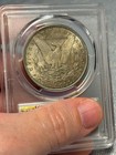 (#103041) Morgan Dollar: 1889 PCGS MS 62  Great toning faint blues  (see video!) — photo 4