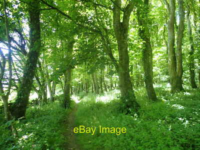 Foto 6x4 Wales Coast Path Rhiw\/SH2228 Wanderung durch Wald auf meinem c2021