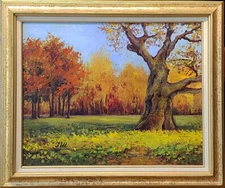 Old oak.Original framed oil on canvas 16"x20" painting from artist impressionism