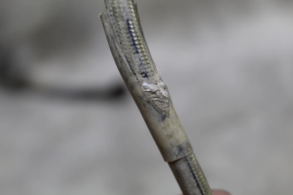 2004 John Deere Trail Buck 650 Ex Oem 后背制动软管流体线 — 第 4/4 张图片