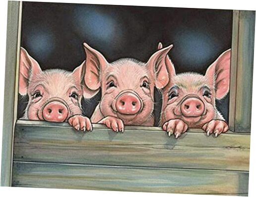 5D Diamond Art Kits for Adults Pig by Number Kits, Diamond Painting Art
