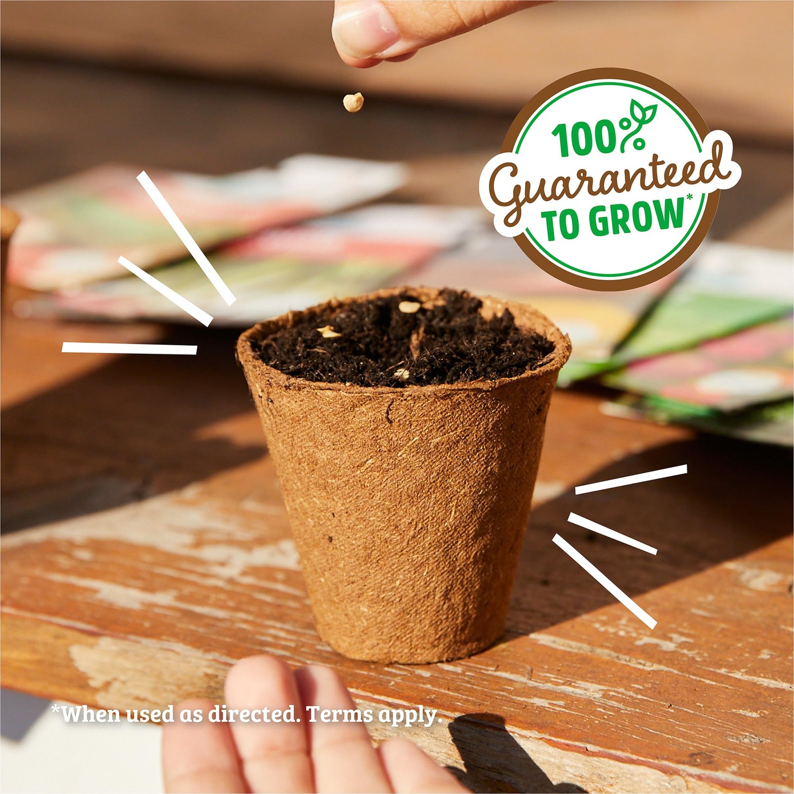 Organic Heirloom Vegetable and Herb Seed Bundle 30 Pack Non GMO Plant Seeds