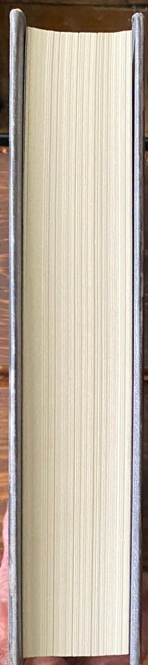 Injustice And Prophecy In The Age Of Mass Incarceration - Foto 4