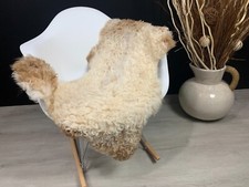 Real Tibetan Sheepskin Rug  Luxurious Natural Fur Accent for Any Room