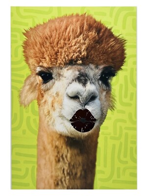 Funny Birthday Card For Anyone Kissing Lama Metallic Foil Lips Hallmark Card NEW