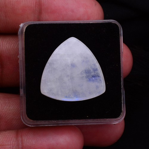 26.80 Cts Natural Moonstone 22mm Blue Fire Trillion Cabochon Untreated Gemstone - Imagen 4 de 4