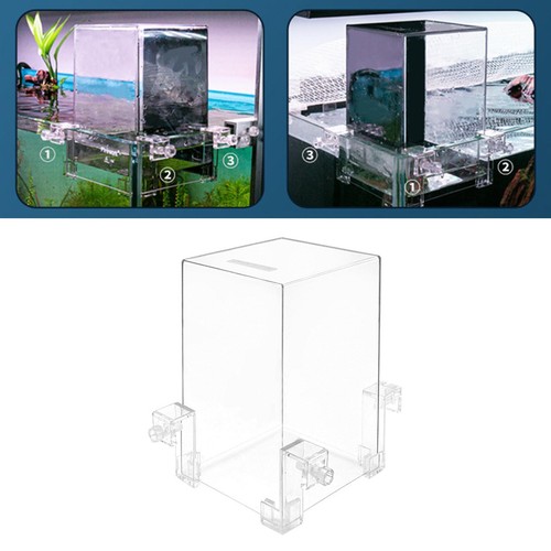 Negative Pressure, Fish Breeding Box, Transparent - Picture 8 of 11