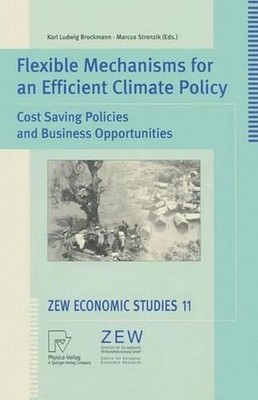 Flexible Mechanisms for an Efficient Climate Policy: Cost Saving Policies and Bu