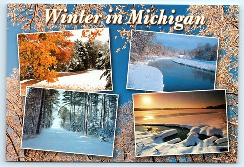 Winter in Michigan Snow Landscape Ice Lakes Nature Scenery MI Vintage Postcard - Picture 2 of 4