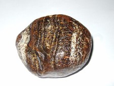 - Minerali Pietra Dura - burattato grande - AGATA nodulo intero (A) botswana