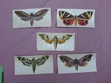 NEAR SET - R J LEA - BUTTERFLIES & MOTHS (P SIZE )  5/6  abt GD