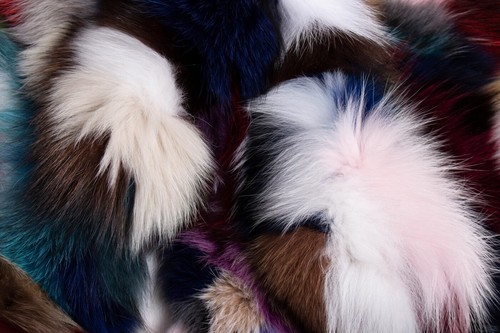 1422 Multicolor Fox Fur Rug - Genuine Fox Pieces Real Fur Rug Genuine Pelt Furs - Picture 6 of 8