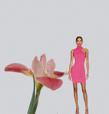 ALICE + OLIVIA Rose Kiki Body-Con Sweater Dress Barbiecore  NWT  Sz L