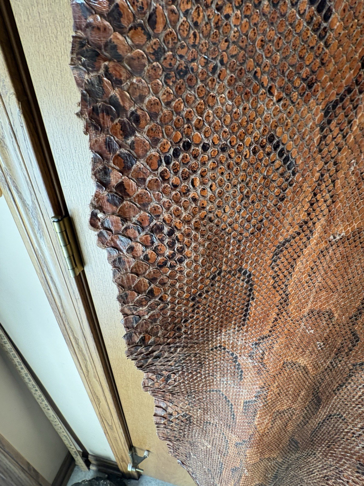 Vintage Python Snakeskin Leather Real Full Size S… - image 6