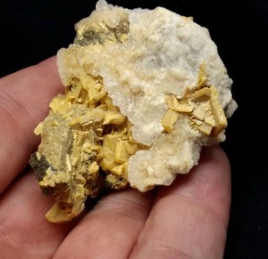 2.5" WULFENITE with CALCITE from Sidi Boubker, Morocco 
