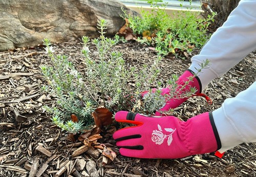 Morewell- Daisy Rose Embroidery Garden Gloves with Touchscreen Function - Picture 38 of 59