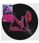 Madonna Confessions 2 GRINDR exclusive. Picture Disc 12 Song Mix PREORDER