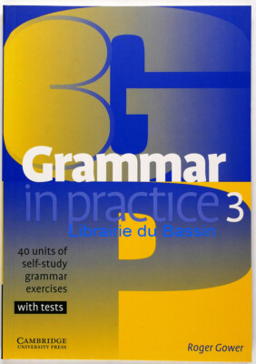 Grammatik in der Praxis 3 40 Einheiten Grammatikübungen zum Selbststudium Roger Gower 2008