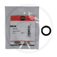 Briggs U. Stratton Simmerring 89660 | 299819S | 024847227116