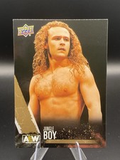 Jungle Boy 2021 Upper Deck AEW All Elite Wrestling First Edition #23 GOLD Card