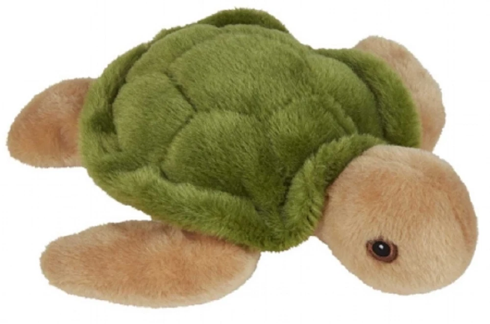 Cute stuffed turtle outlet