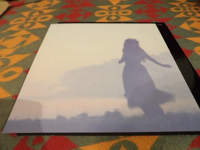 The Sisters Of Mercy – Floodland (LP 1987) Limited Edition Numbered 2341 - Image 4 of 4