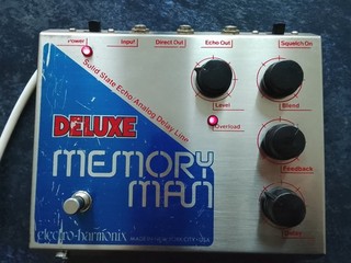 Electro Harmonix Deluxe Memory Man Blue Face