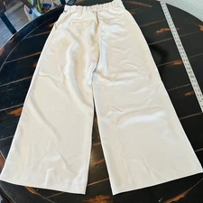 NWT LOFT Versa Crepe Drape Palazzo Pant in White Clay Size 2 New With Tags