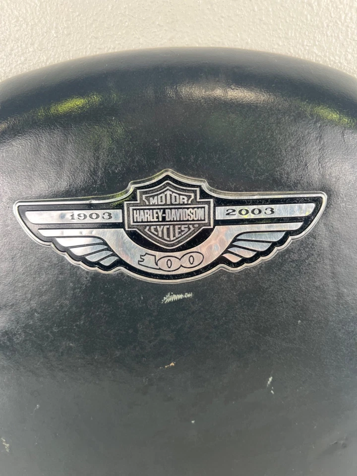 Ford F-150 Harley Davidson 2001-2003 consola central trasera tapa reposabrazos *dañado* Foto 2 de 4