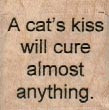 A Cat's Kiss Will Cure 1 1/4 x 1 1/4'' Mounted Rubber Stamp, Cat Stamp, Cat Lover