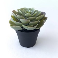 Mini pianta succulenta artificiale in vaso nuova Ikea